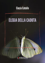 Elegia della caduta